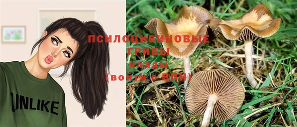 твердый Богородицк