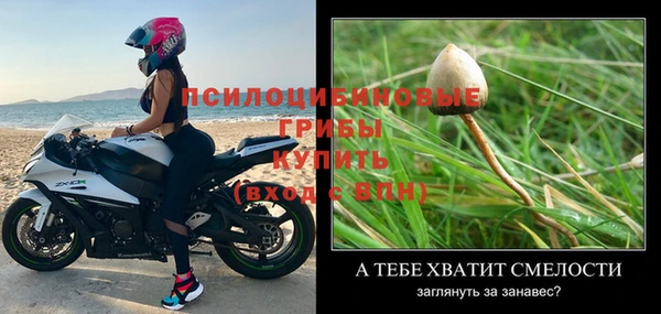 PSILOCYBIN Бугульма