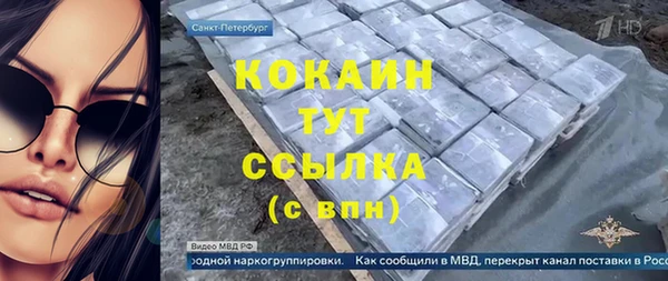 mdpv Богородск
