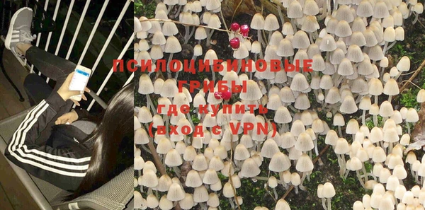 PSILOCYBIN Бугульма