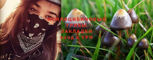PSILOCYBIN Бугульма